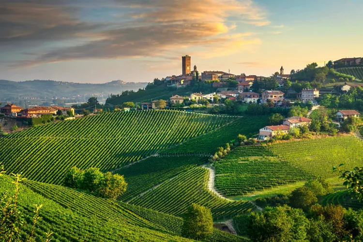 Foto Langhe & Roero: Vino e Castelli